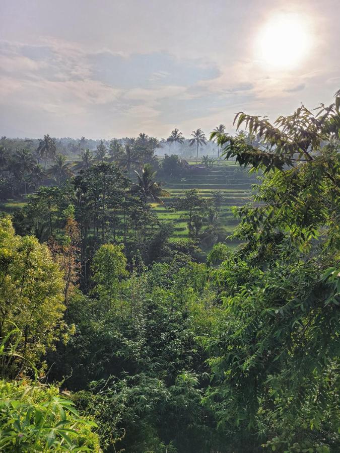 Hotel Les Rizieres Lombok - Tetebatu Extérieur photo