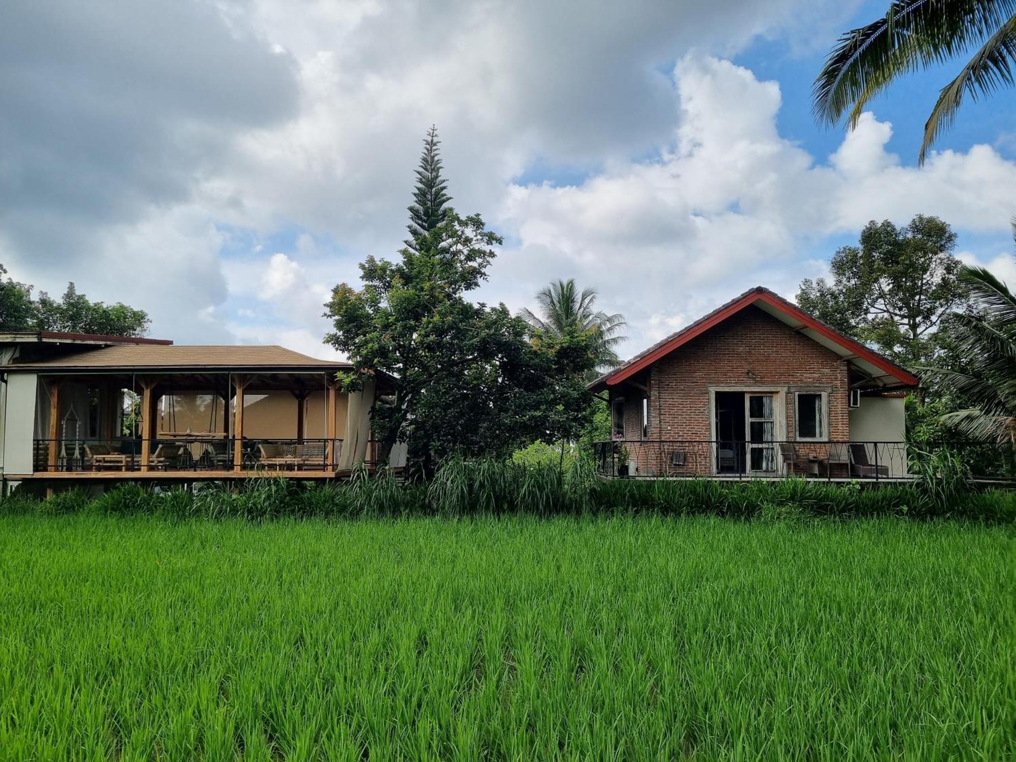 Hotel Les Rizieres Lombok - Tetebatu Extérieur photo