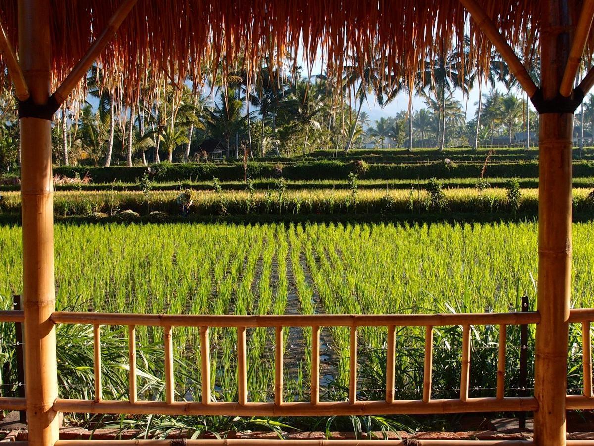 Hotel Les Rizieres Lombok - Tetebatu Extérieur photo